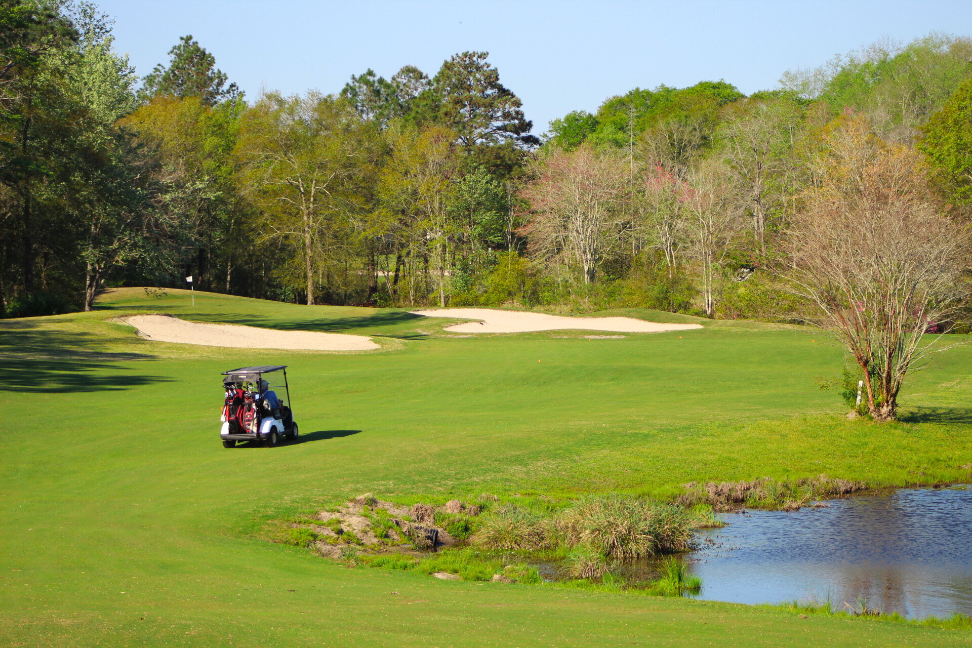 golf card on course