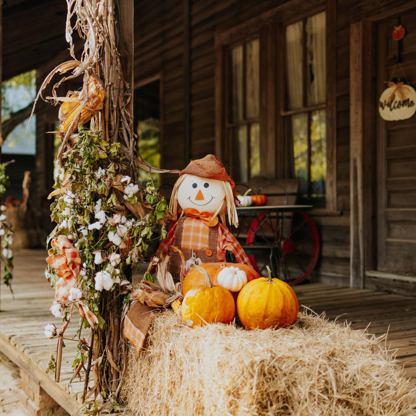 scarecrow doll in a fall scene on hay