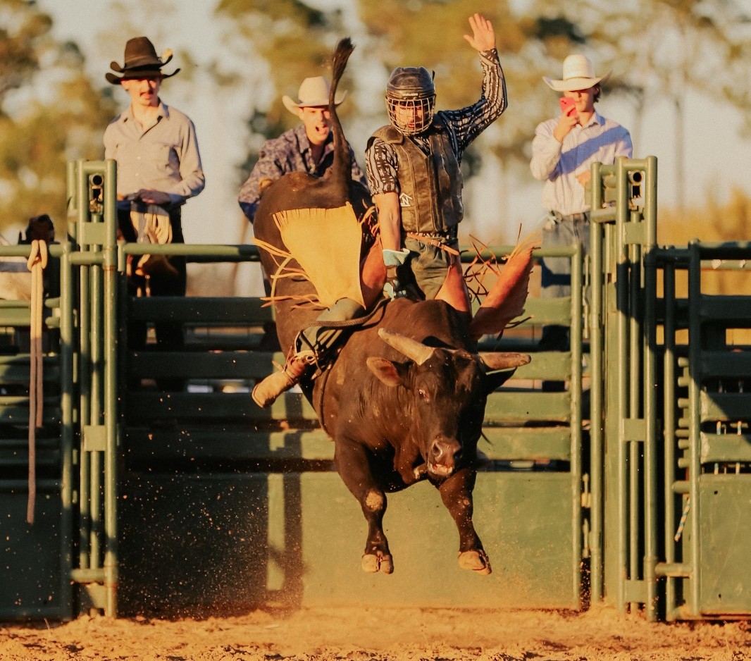 contestant riding a bull at rodeo