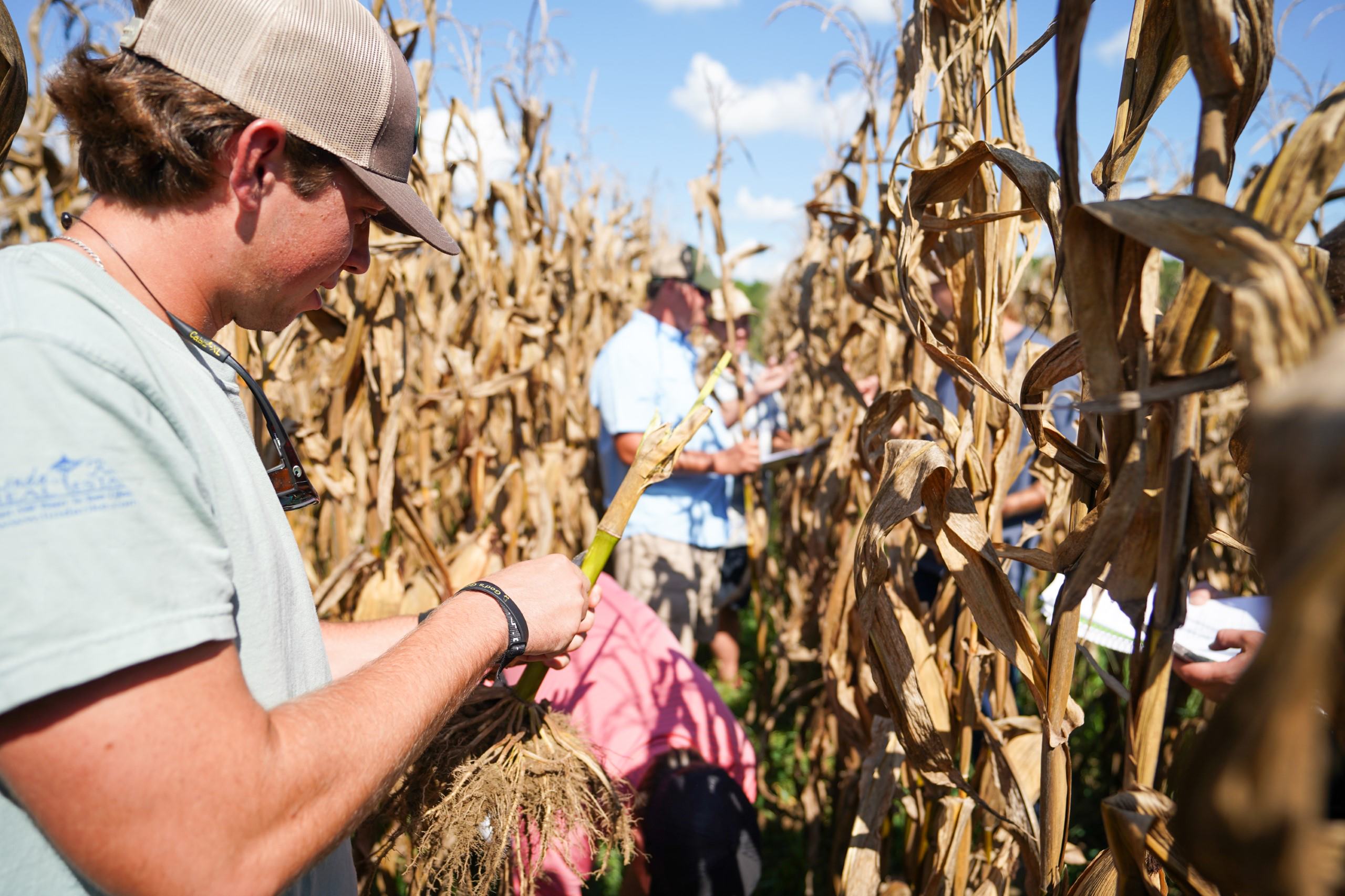 ABAC Graduates To Benefit From Collaboration With University Of ...