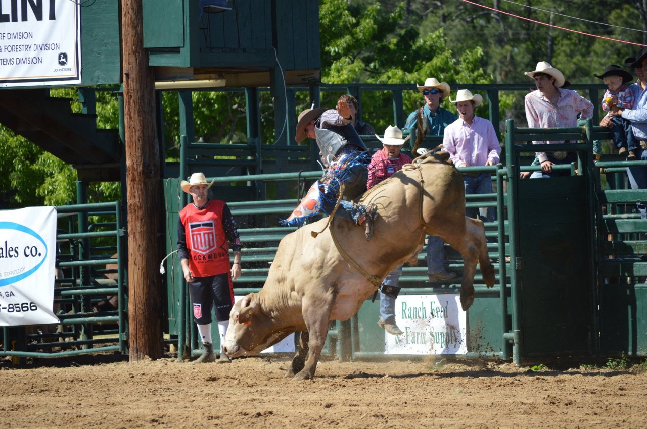 Gee Haw Whoa Back Rodeo set for April 14-15 - Abraham Baldwin ...